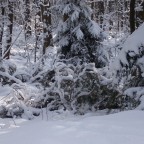 Einmal noch im meterhohem Schnee waten