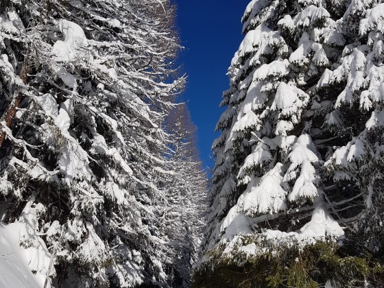 ein Wintermärchen