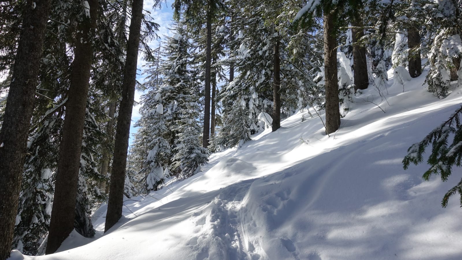 Winterzauber