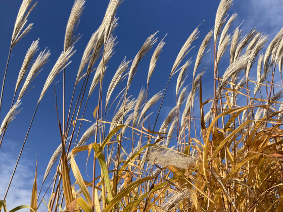 Allerschönstes Herbstwetter