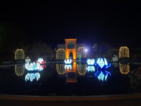 Christmas Garden Stuttgart