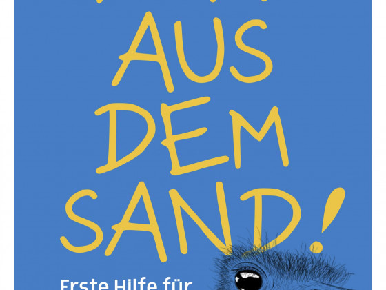 Kopf aus dem Sand - erste Hilfe für unruhige Zeiten und berufliche Sackgassen