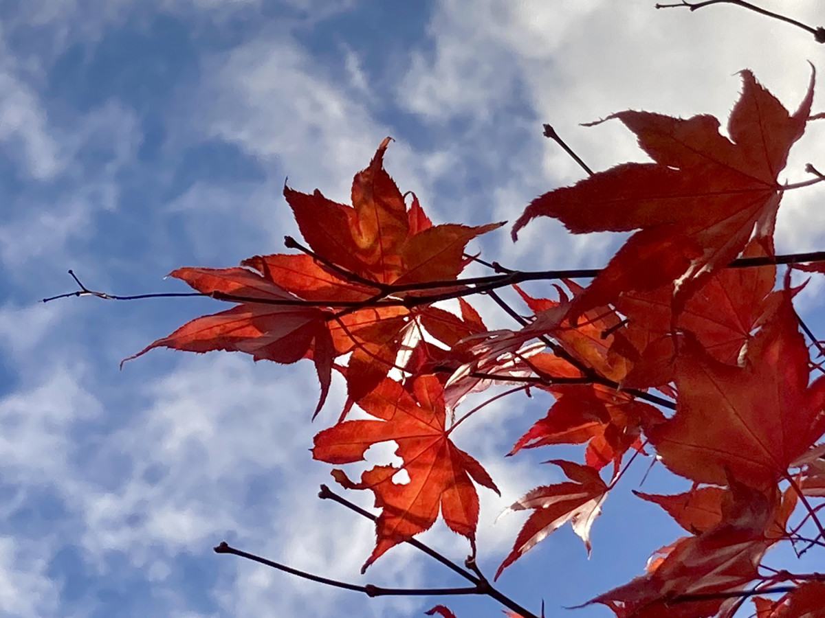 Allerschönstes Herbstwetter