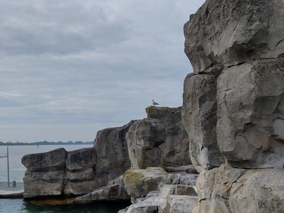 Zoo am Meer