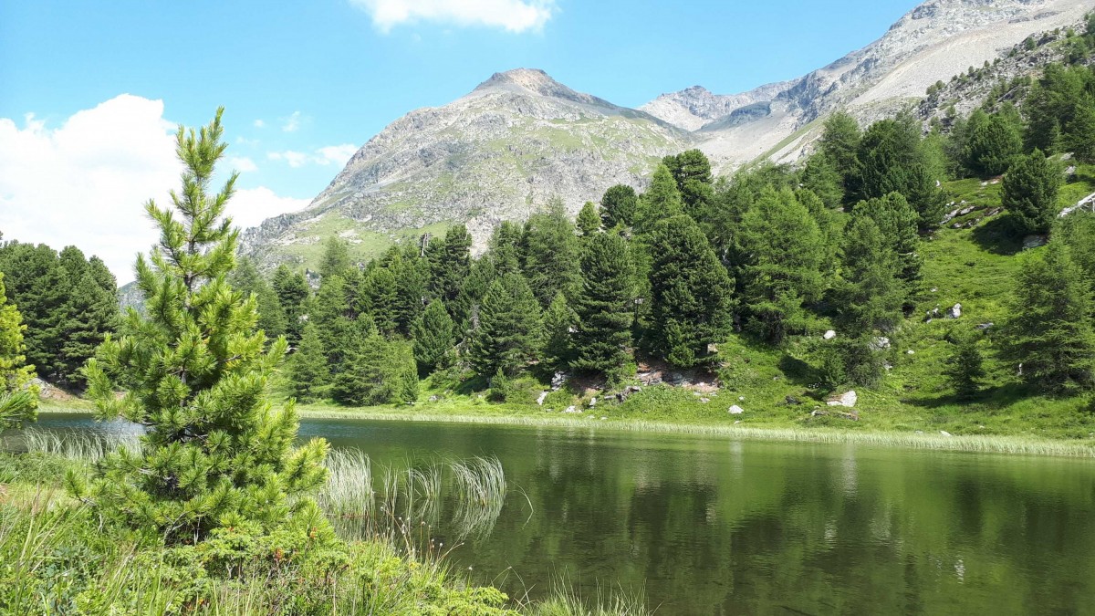 Sommer-Impressionen