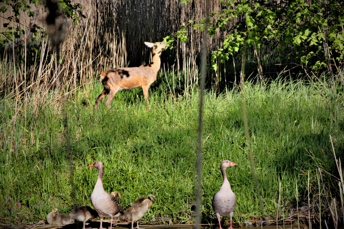 Mitten in der Uckermark