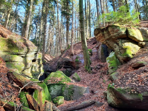 Nennt sich Gallengrotte - war eine schöne kleine Wanderung.