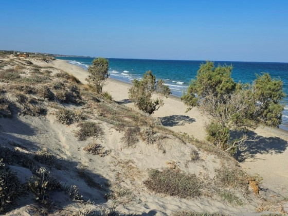 Kos_Strand_Bäume_Meer