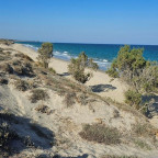 Kos_Strand_Bäume_Meer