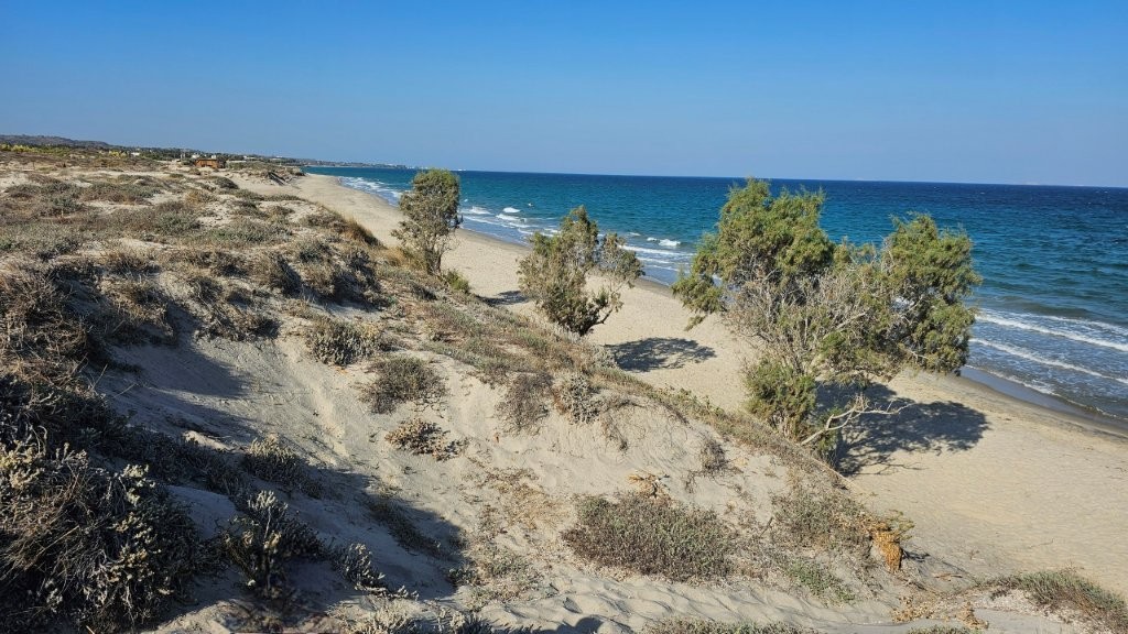 Kos_Strand_Bäume_Meer