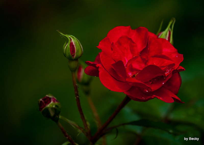B30_0910