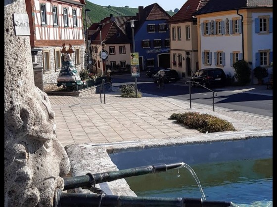 Main und Wein in Obereisenheim /Franken