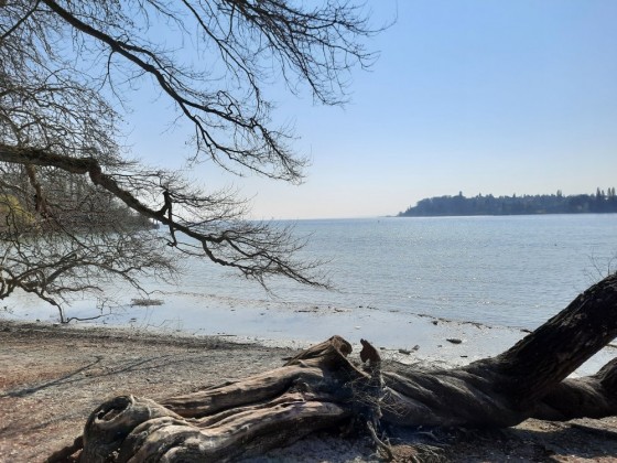 Bodensee - Insel Mainau 25.03.2022