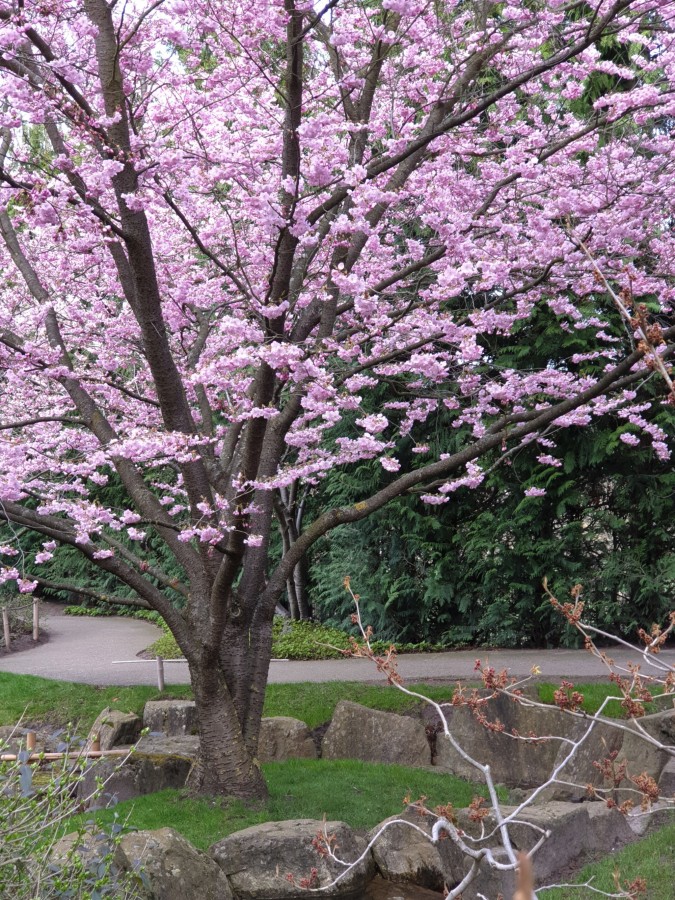 Frühling 2019