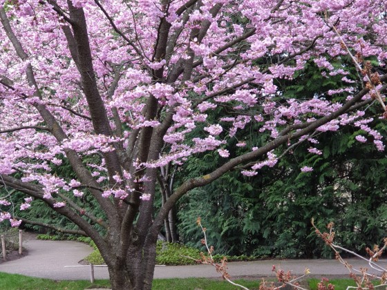 Frühling 2019