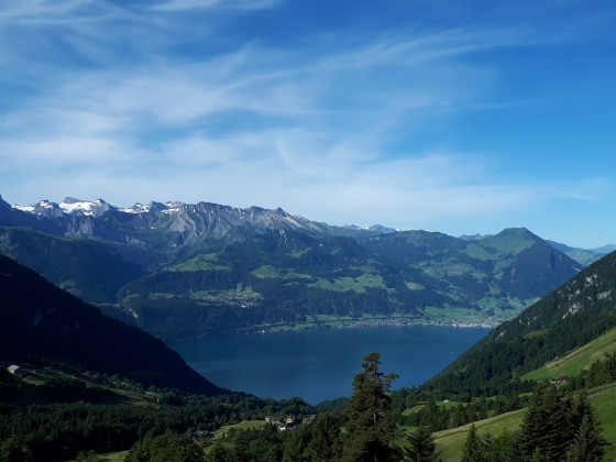 IMG-20220613-WA0011