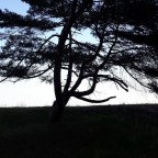 20230503_191000[1]