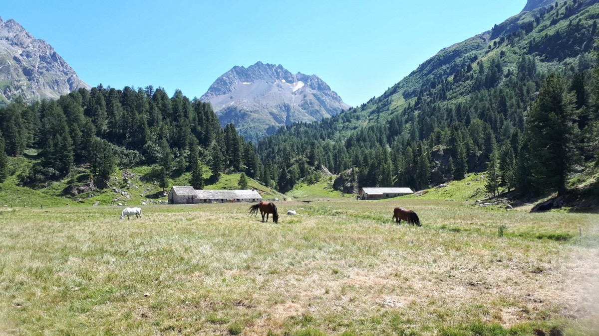 Sommer-Impressionen