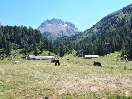 Sommer-Impressionen