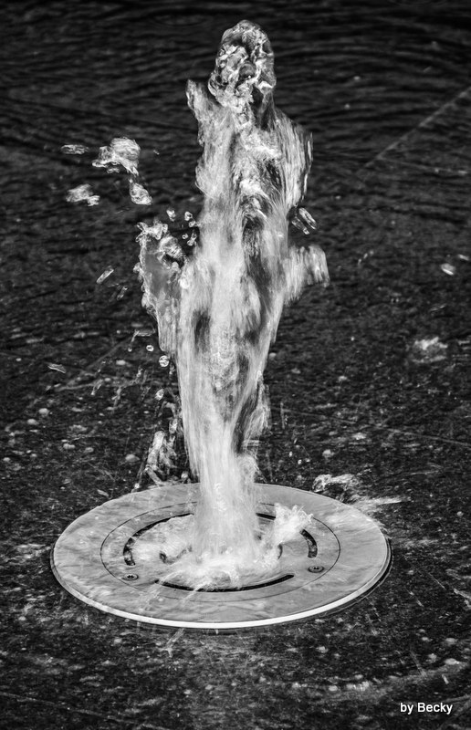 Wasserdame