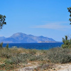 2_Bäume_Pflanzen_Distel_Meer