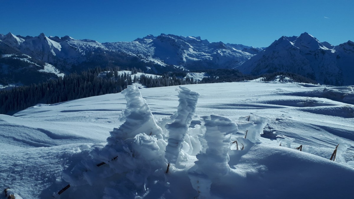 Schneezauber