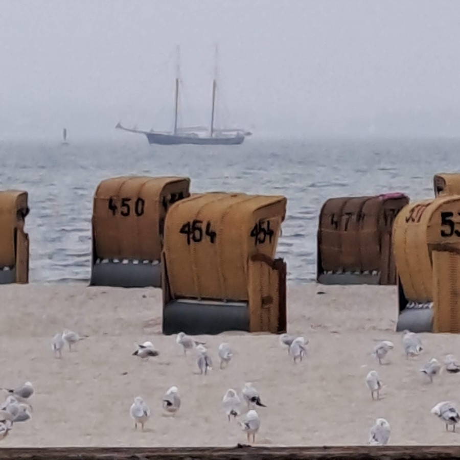 Ostseeschönheiten