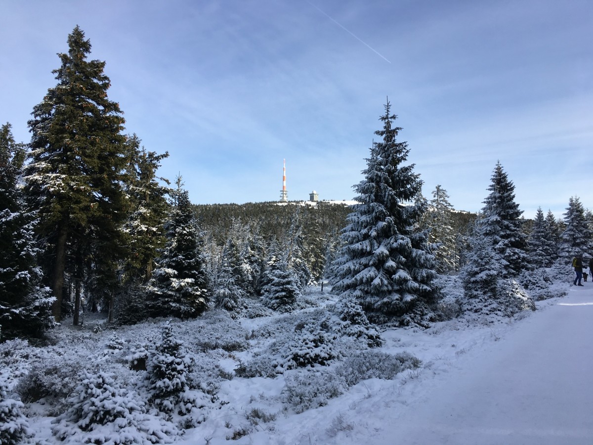 Blick zum Brocken