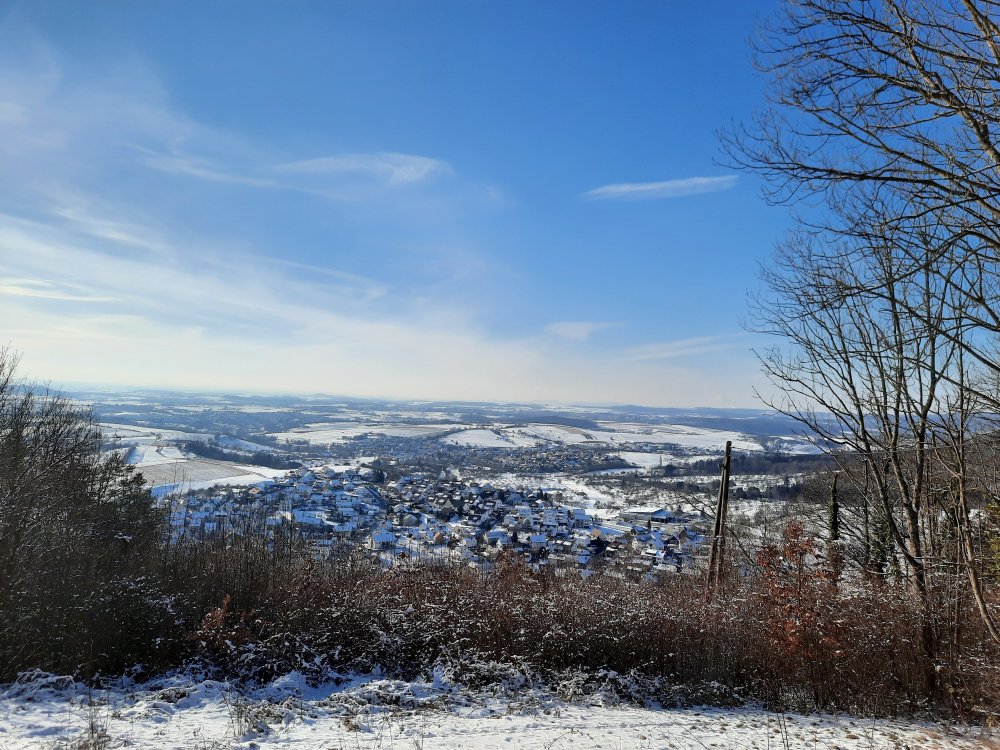 Beim Schloss Ebersberg - 12.02.2021 nachmittags
