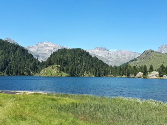 Sommer-Impressionen