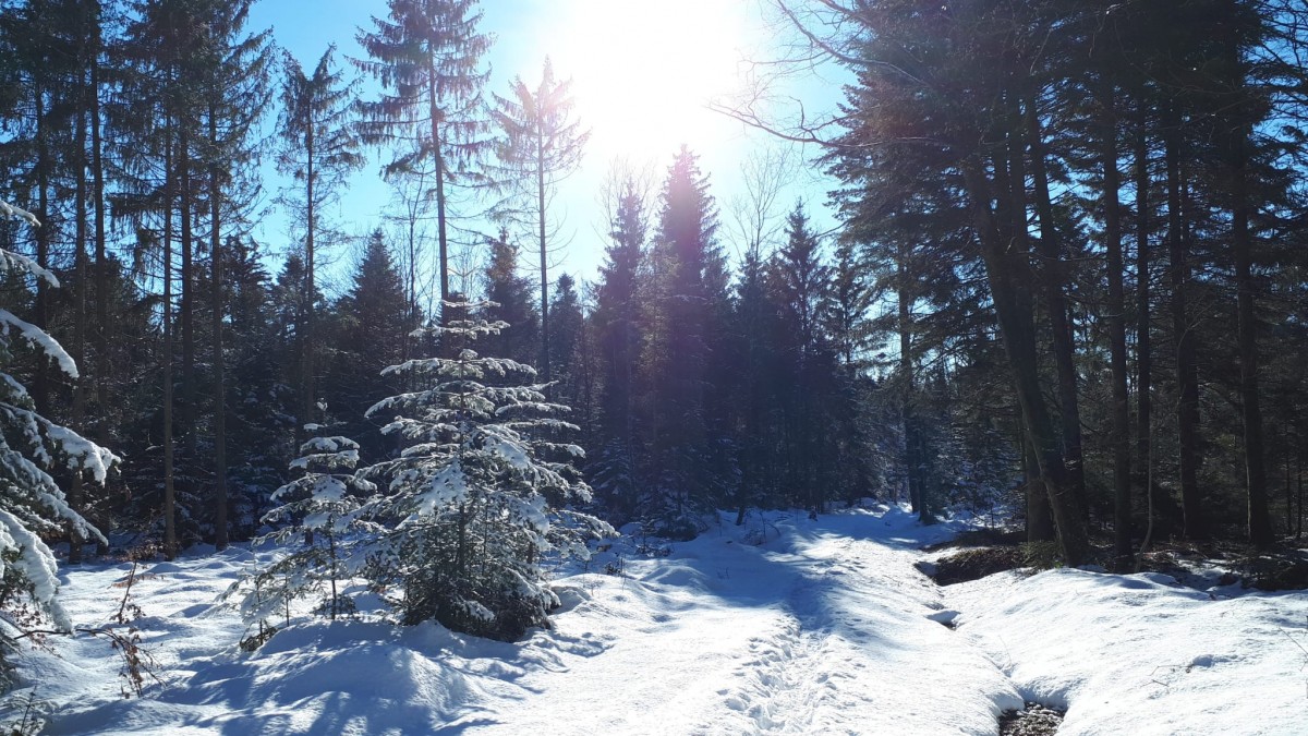 Winterspaziergang