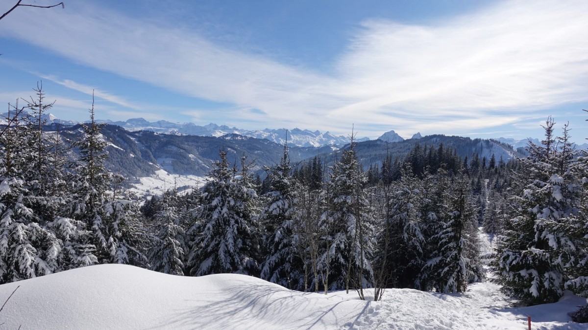 IMG-20210214-WA0048