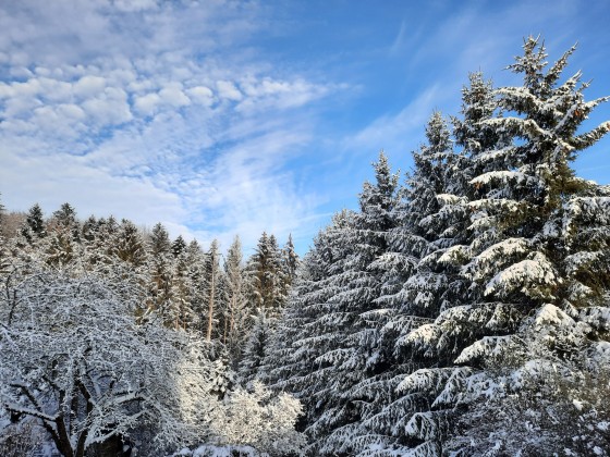 Mittagspause - Blick vom Balkon - 11.12.2020