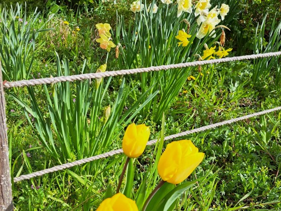 Der Mai kann kommen! 😊 🌻🌹🍀🌳⛅️🌞