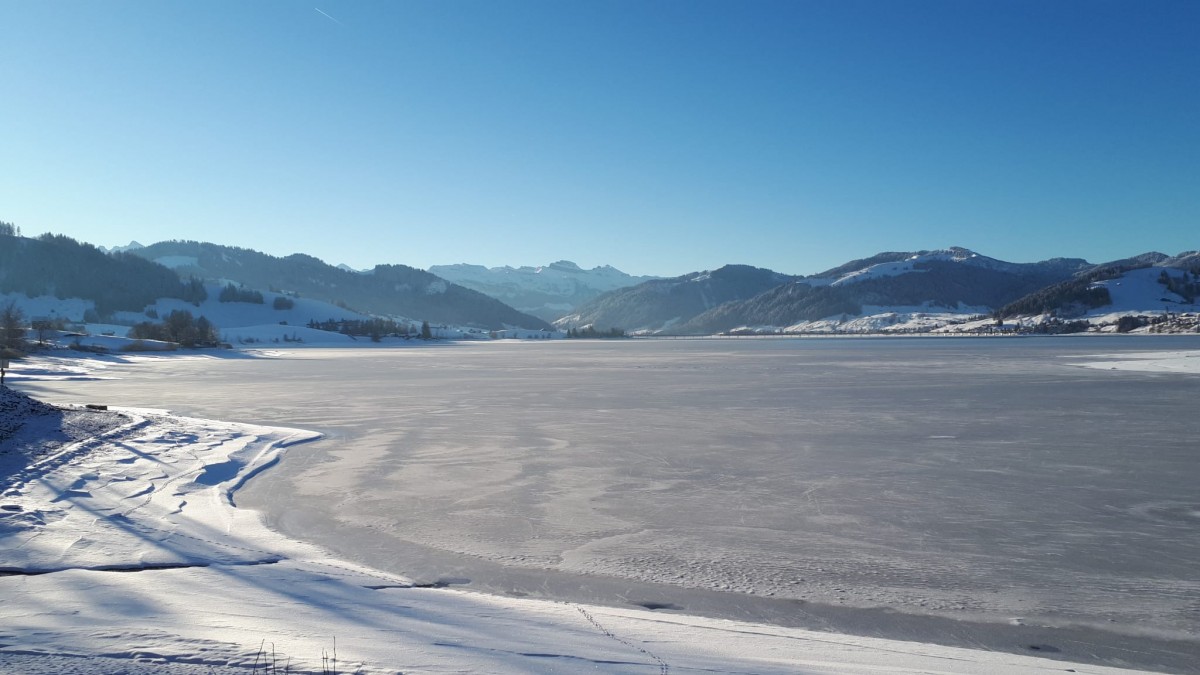 Eissee