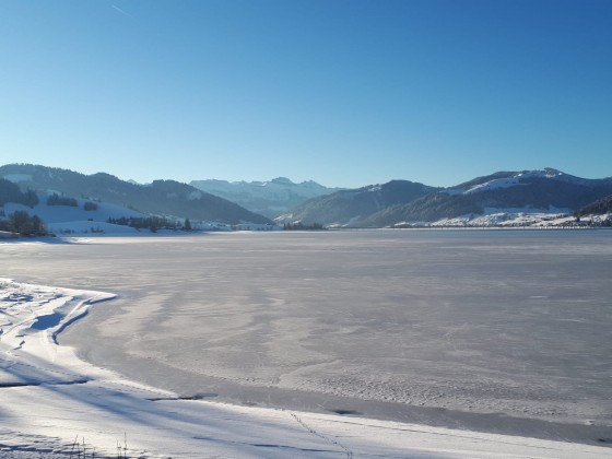 Eissee