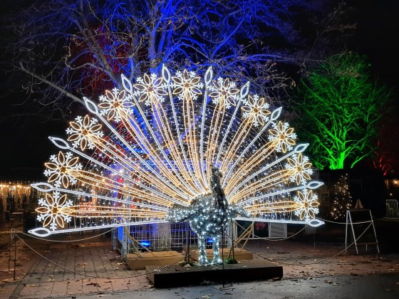 Christmas Garden Stuttgart