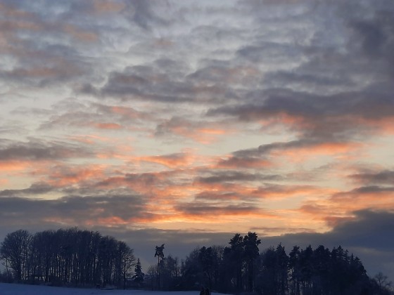 Spaziergang am 7.1.2021