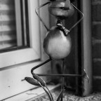 Frosch